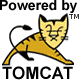Tomcat Hosting